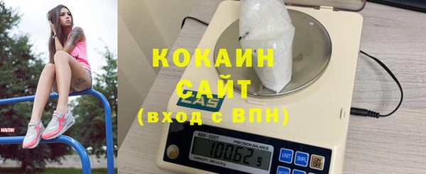 гашик Михайлов