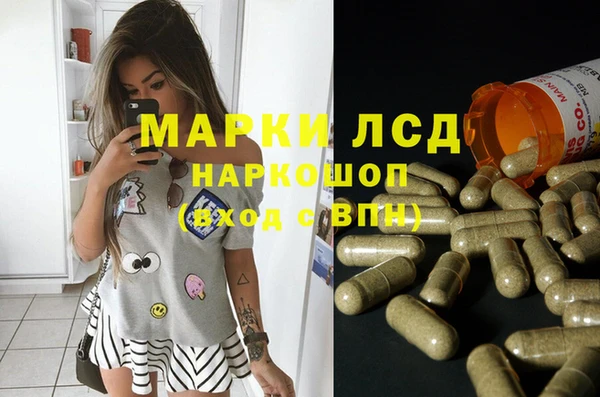 PSILOCYBIN Михайловск