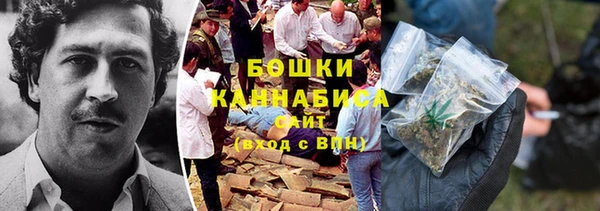 гашик Михайлов